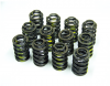 Valve Spring Set, Performance B - Triumph GT6 TR250 TR6
