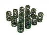 Valve Spring Set (Green), High Lift - Triumph GT6 TR250 TR6